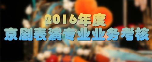 2022年美女操b视频国家京剧院2016年度京剧表演专业业务考...